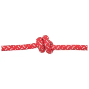 8mm Discover Climbing Rope - EDELWEISS