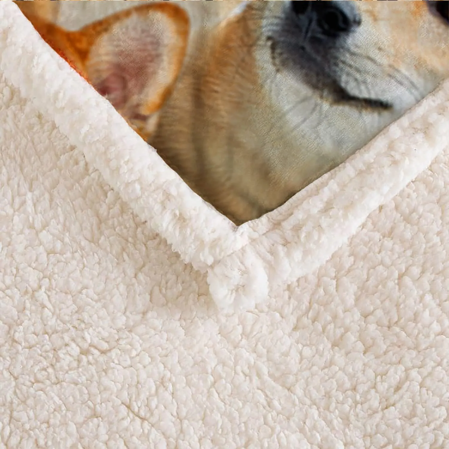 AILONEN Shiba Inu Dog Blanket for Kids & Adults, Cute Puppy Plush Blanket with Shiba Inu Animal Print, Double Sided Sherpa Throw (70 x 55 Inches)