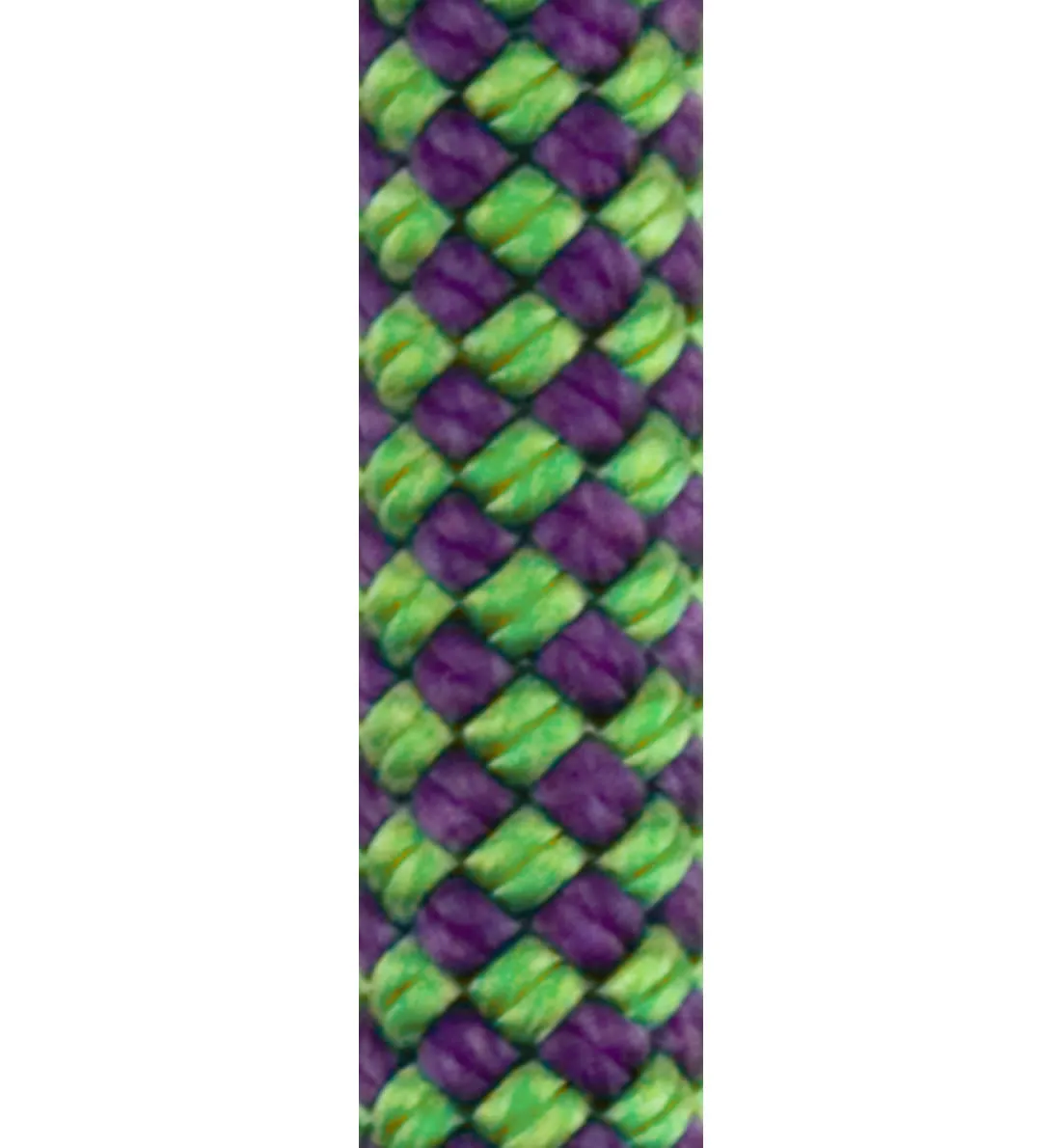 DYNAGYM 10.6mm Dynamic Single Rope