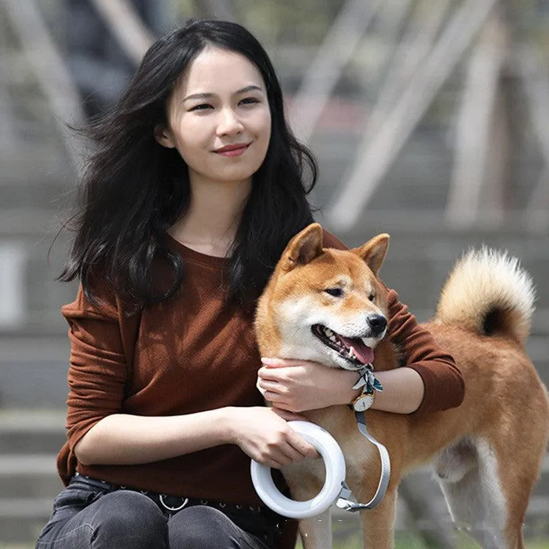 Innovative Flexigrip Dog Walking Leash With Led Lighting And Wearable Bracelet by Dog Hugs Cat