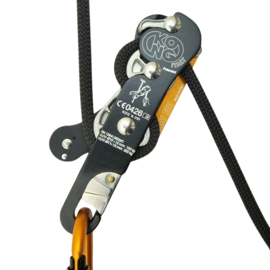 KONG INDY EVO PLUS DESCENDER