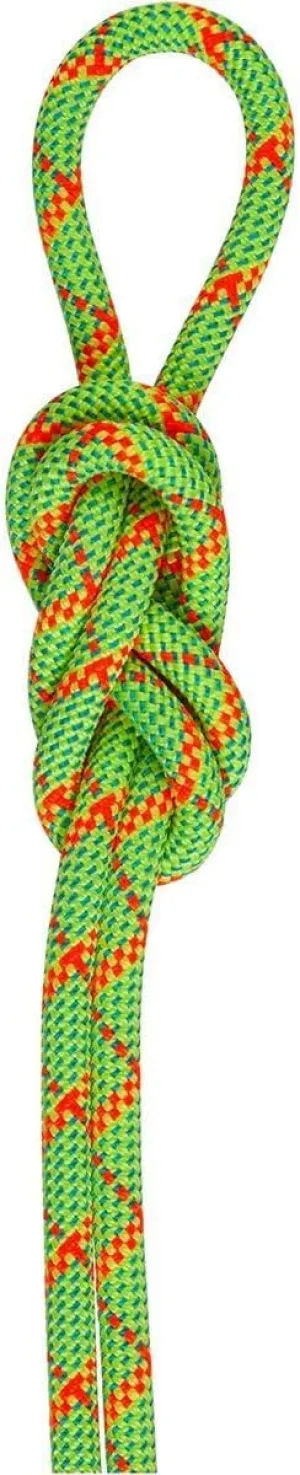 Mammut, 8.0 Alpine Core Protect Dry Rope