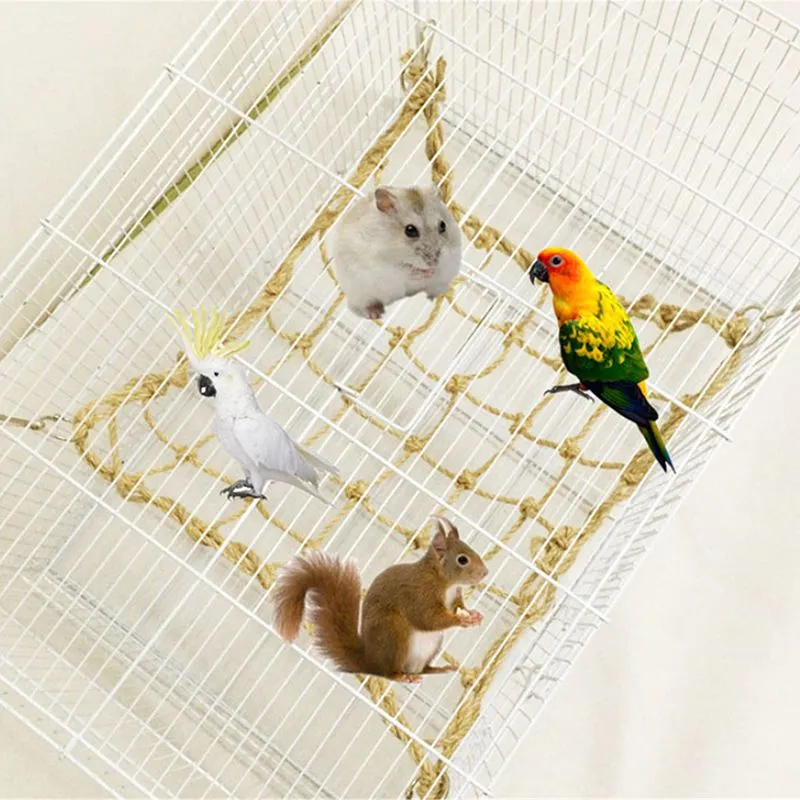 Net Bird Swing