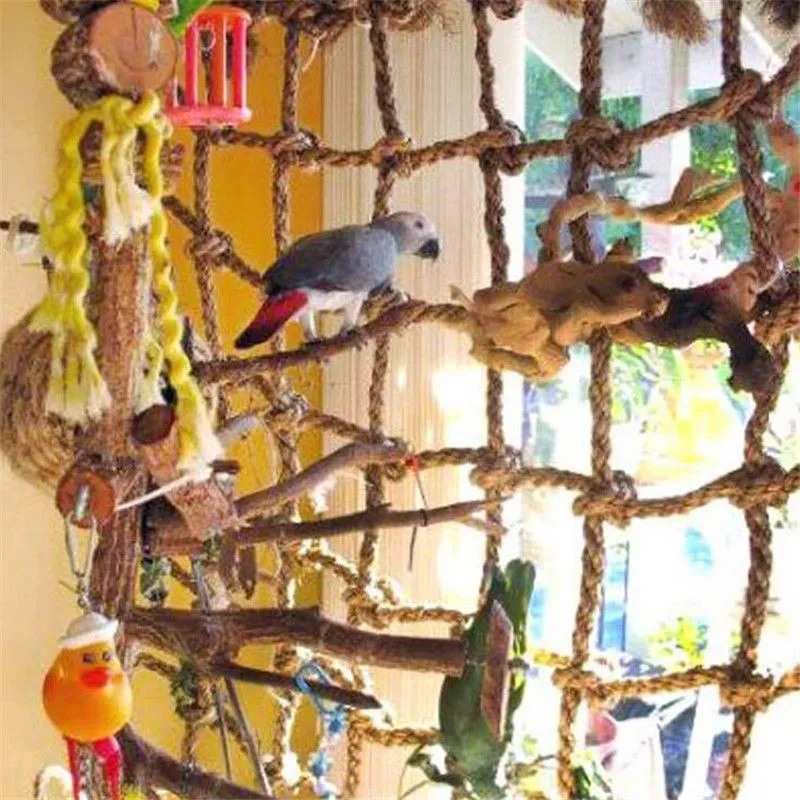 Net Bird Swing