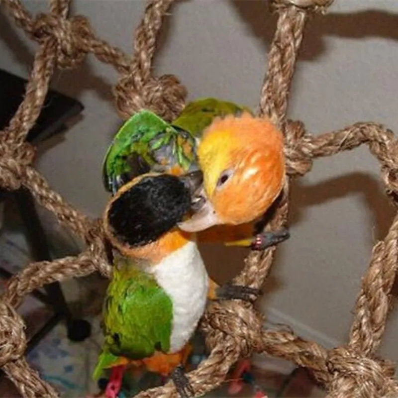 Net Bird Swing