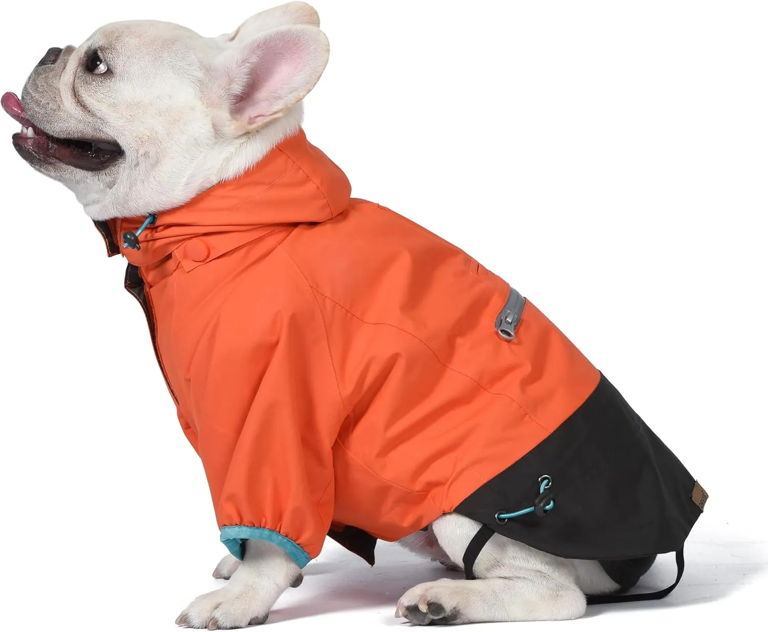 Orvis Dog All Season Trekker 3-in-1 Coat for Dogs, Size Small; Orange High Visibility All Weather Dog Coat with Raincoat & Fleece Vest That Can Be Worn Separately or Together; Removable Hood