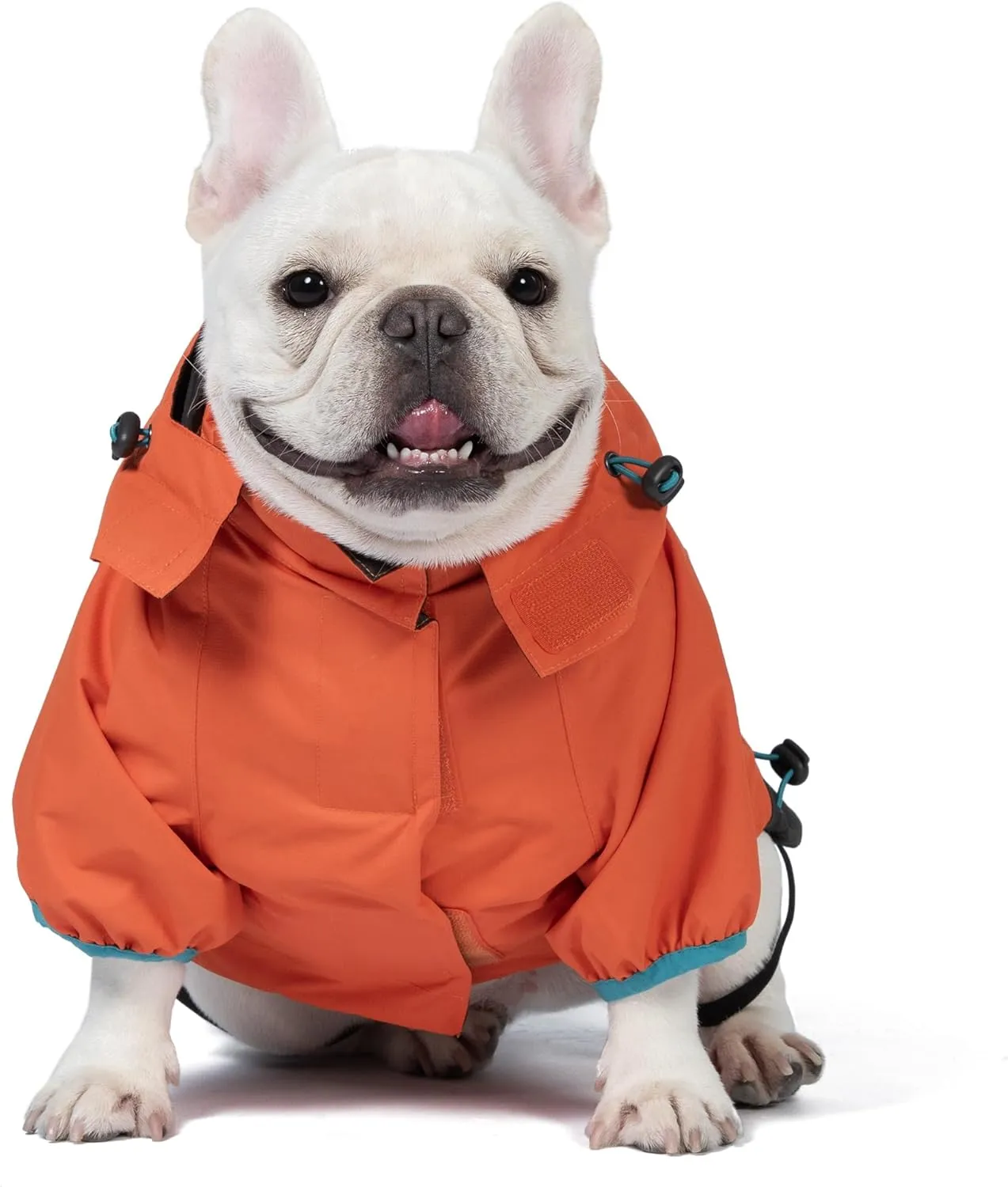 Orvis Dog All Season Trekker 3-in-1 Coat for Dogs, Size Small; Orange High Visibility All Weather Dog Coat with Raincoat & Fleece Vest That Can Be Worn Separately or Together; Removable Hood